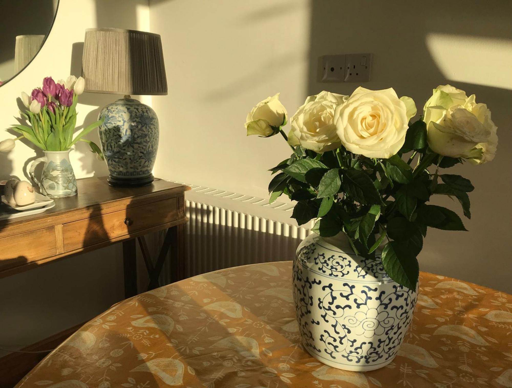 City Central Quiet Garden Apartment With Free Parking Инвернес Екстериор снимка